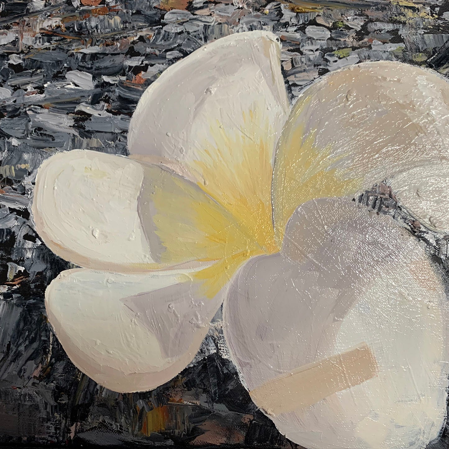 小白花